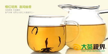 正山小種紅茶批發(fā) 廠價(jià)直供與移動(dòng)互聯(lián)網(wǎng)研發(fā)維護(hù)新視界